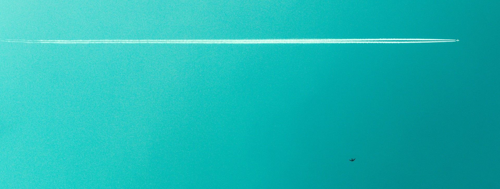 airplane contrails in blue sky