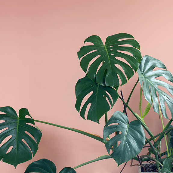 Learning and development