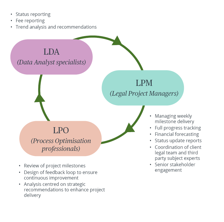 Legal Project Delivery Case Study 3