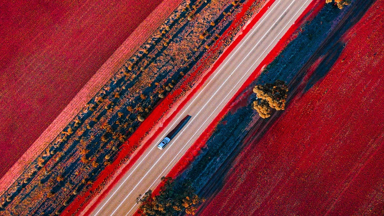 car driving through red field