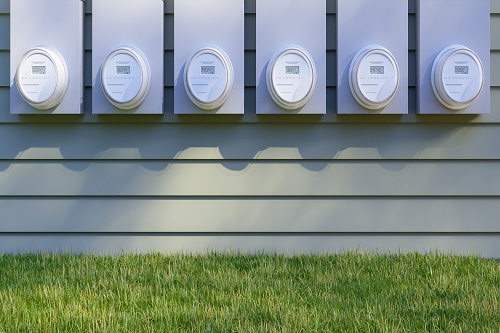 Bird and Bird Page Image